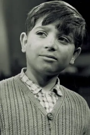 Ο Λουστράκος - Poster