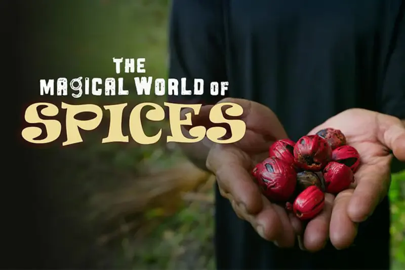 Ο Μαγικός Κόσμος των Μπαχαρικών - Cover