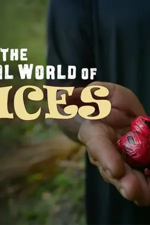 Ο Μαγικός Κόσμος των Μπαχαρικών - Poster