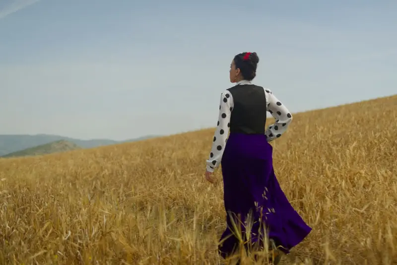 Ο Οργανοποιός - Cover