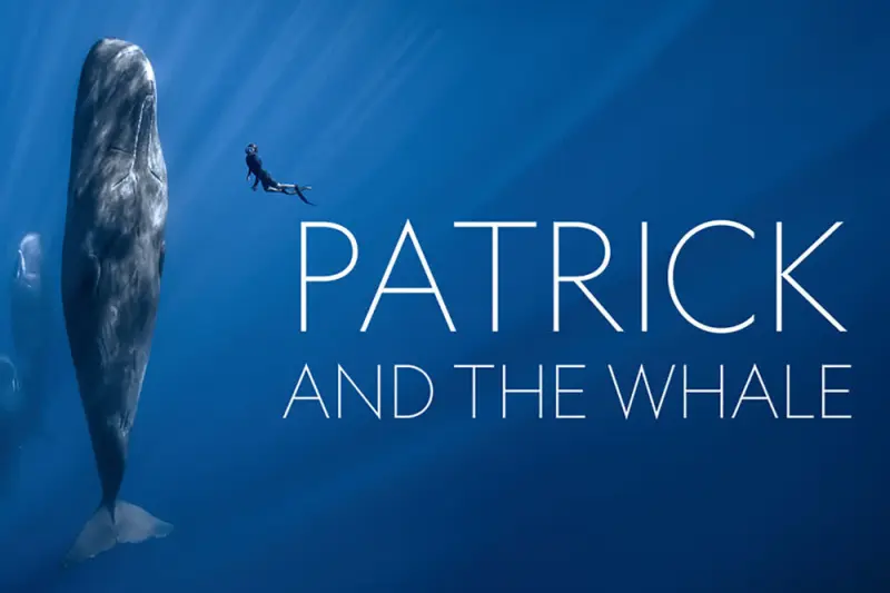 Ο Πάτρικ και η Φάλαινα - Cover