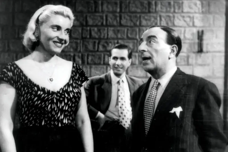 Ο Ζηλιαρόγατος - Cover