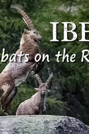 Οι Ακροβάτες των Βράχων - Poster