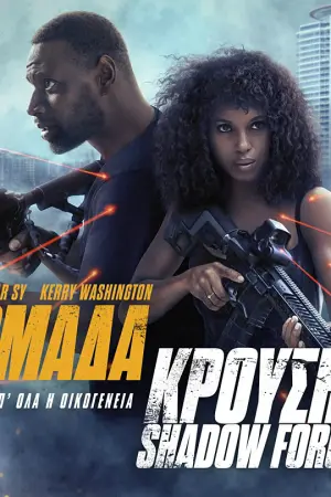 Ομάδα Κρούσης - Poster