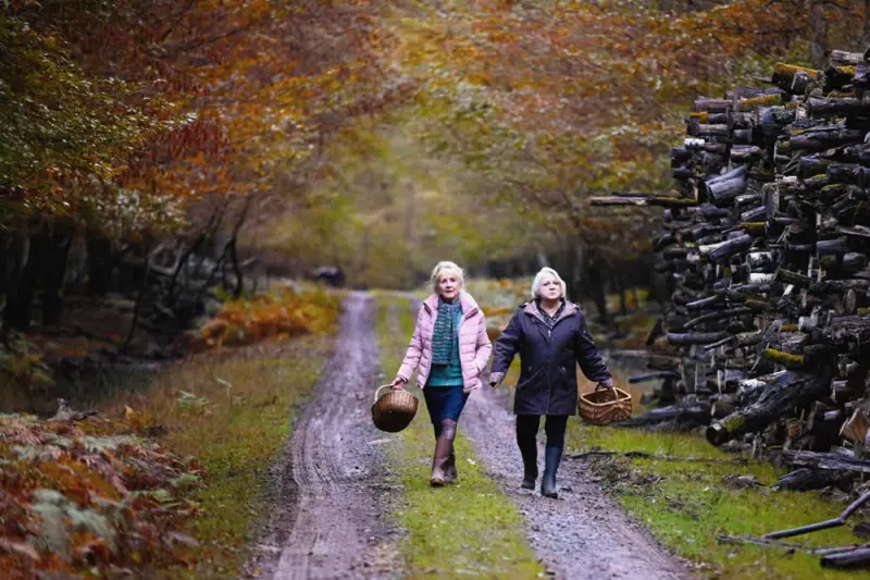 Όταν Έρθει το Φθινόπωρο - Cover
