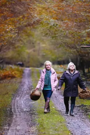 Όταν Έρθει το Φθινόπωρο - Poster