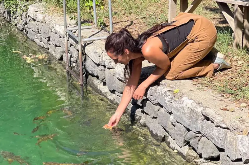 Πελοπόννησος - Επιστροφή στη Φύση - Cover