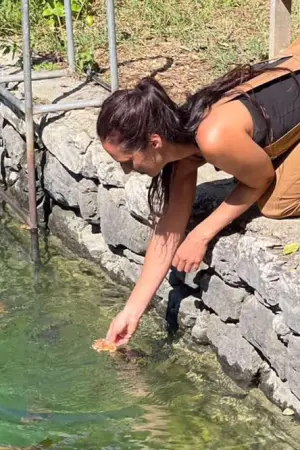 Πελοπόννησος - Επιστροφή στη Φύση - Poster