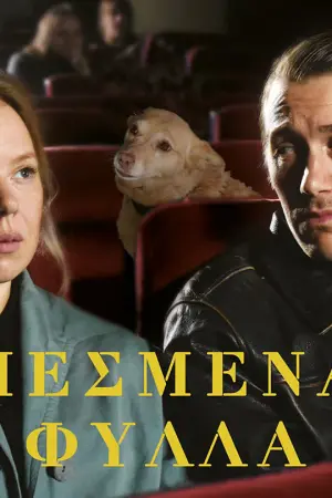 Πεσμένα Φύλλα - Poster