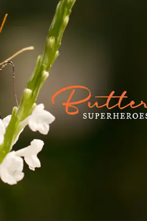 Πεταλούδες, οι Υπερήρωες της Φύσης - Poster