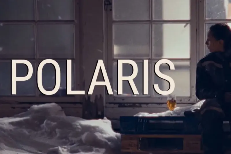 Polaris - Cover