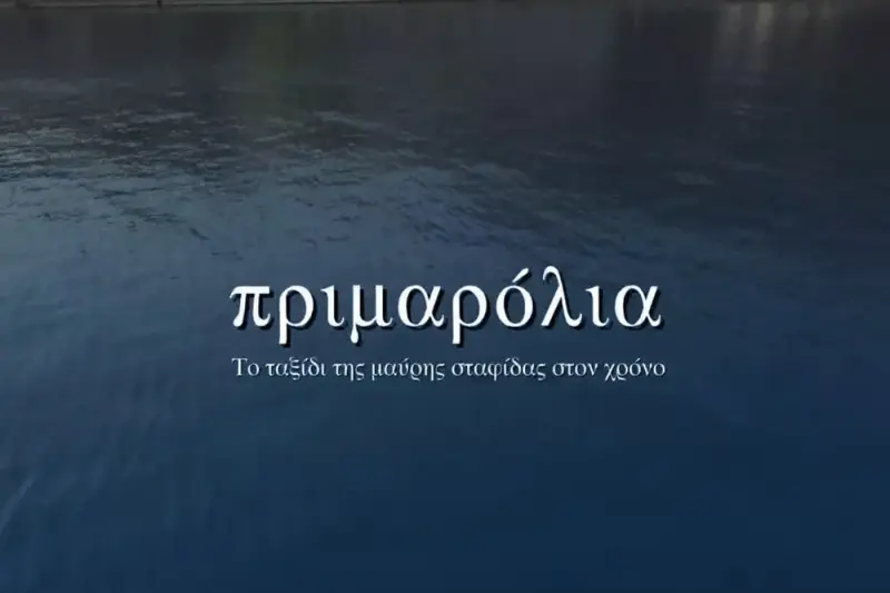 Πριμαρόλια: Το Ταξίδι της Μαύρης Σταφίδας στον Χρόνο - Cover