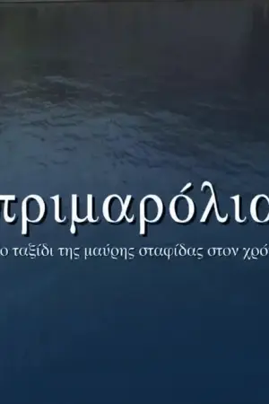 Πριμαρόλια: Το Ταξίδι της Μαύρης Σταφίδας στον Χρόνο - Poster