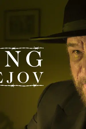 Saving Bardejov - Poster