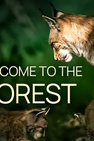Στα Δάση της Γερμανίας - Poster