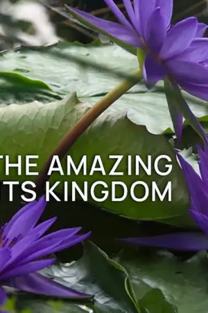 Στο Βασίλειο των Φυτών - Poster