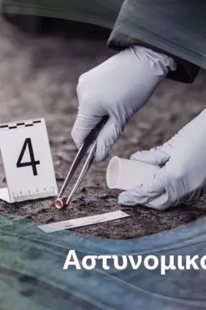 Συλλέκτης Οστών - Η Καταδίωξη - Poster