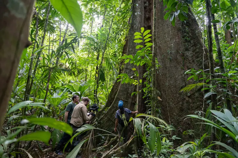 Τα Δάση θα Σώσουν τον Πλανήτη; - Cover