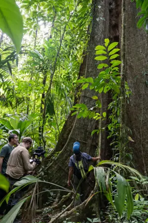 Τα Δάση θα Σώσουν τον Πλανήτη; - Poster