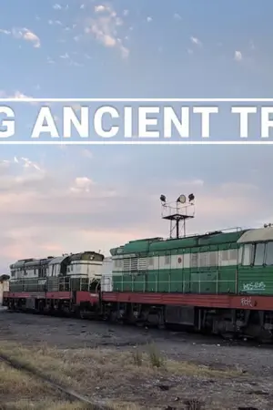 Τελευταίες Διαδρομές - Poster