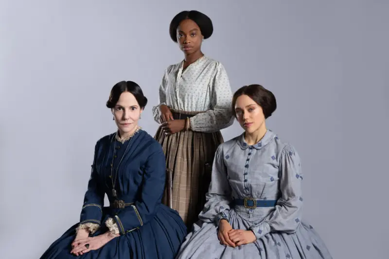 The Gray House - Cover