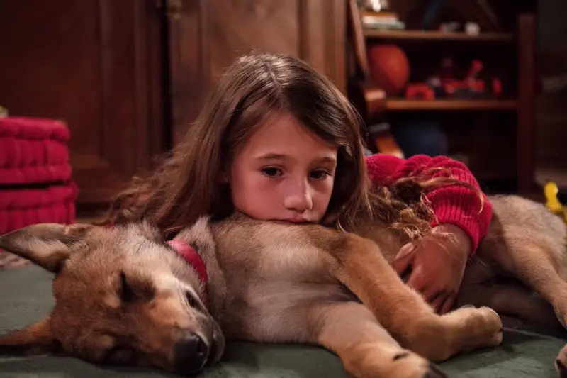 Vicky and Her Mystery - Cover