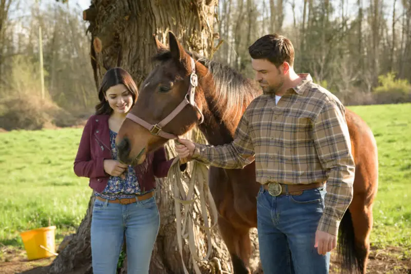 Vote One for Love - Cover