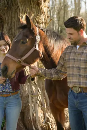 Vote One for Love - Poster