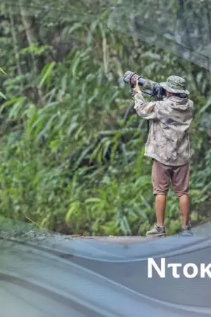 Βυζαντινή Μουσική: Μια Άρρηκτη Αλυσίδα - Poster