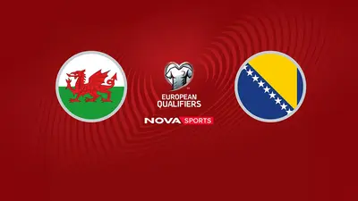 Ουαλία - Βοσνία/Ερζεγοβίνη : UEFA European Qualifiers, Πλέι Οφ - Poster