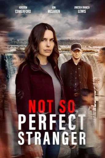 Not So Perfect Stranger - Poster